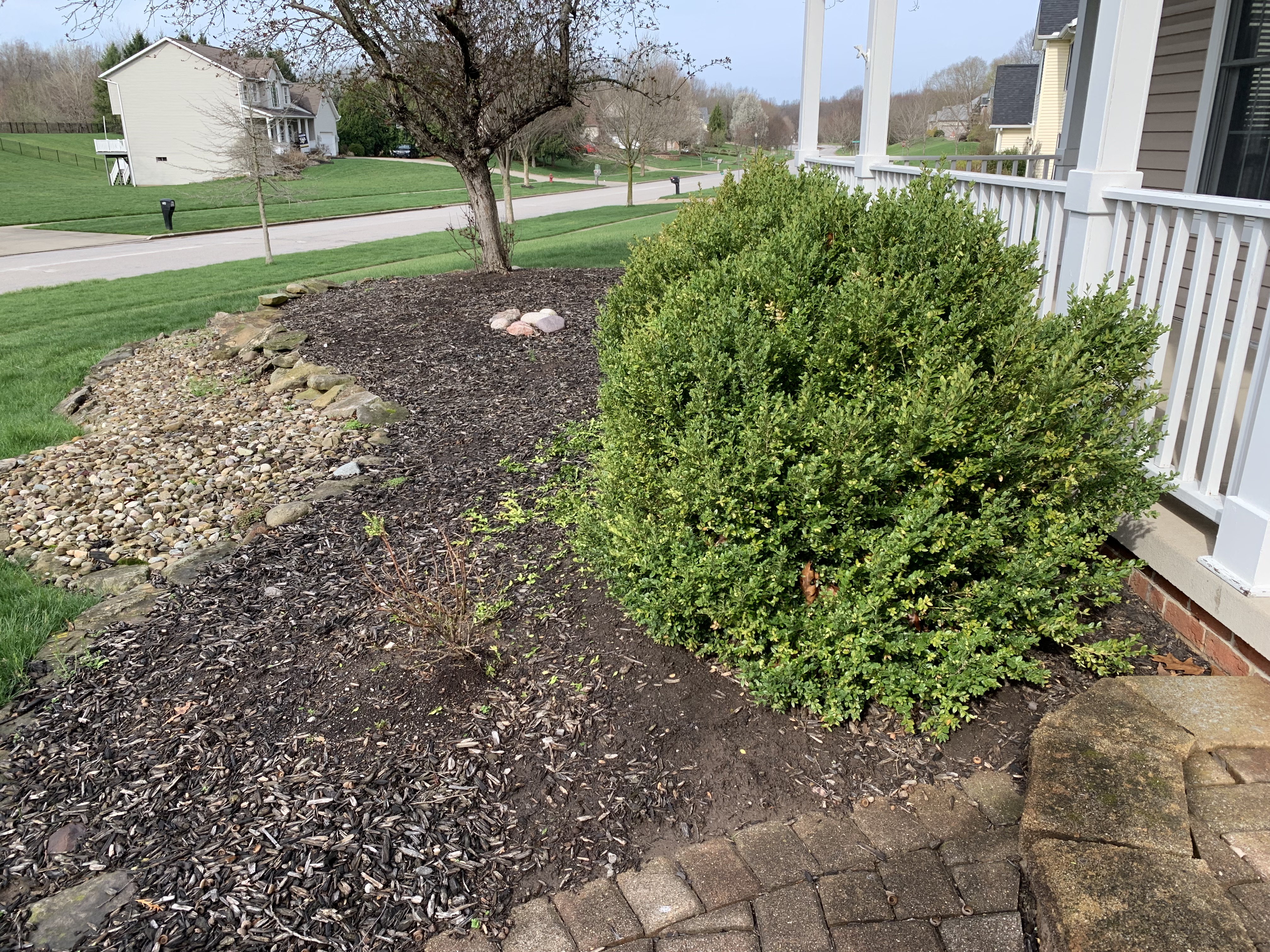 Before professional landscaping service in Cleveland Area Ohio